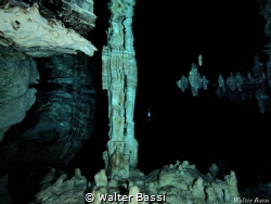 CENOTE by Walter Bassi 